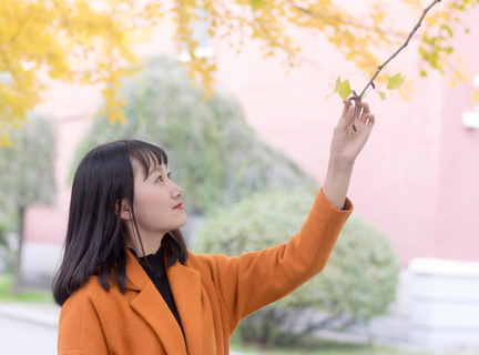 申请菲律宾的大学需要提供什么材料